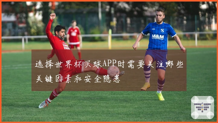 选择世界杯买球APP时需要关注哪些关键因素和安全隐患