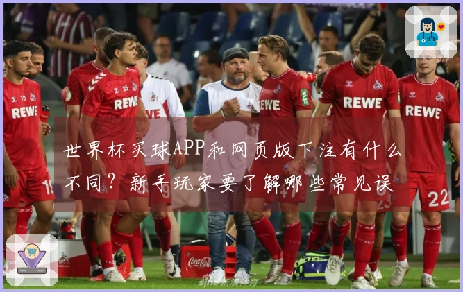 世界杯买球APP和网页版下注有什么不同？新手玩家要了解哪些常见误区？
