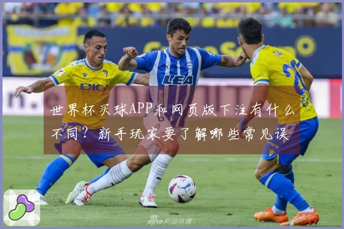世界杯买球APP和网页版下注有什么不同？新手玩家要了解哪些常见误区？