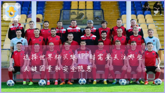 选择世界杯买球APP时需要关注哪些关键因素和安全隐患